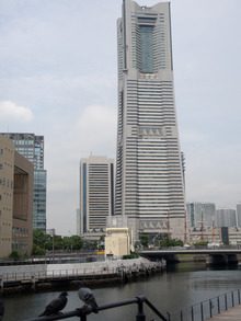 yokohama5