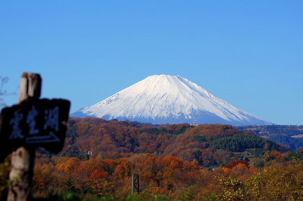 fuji4