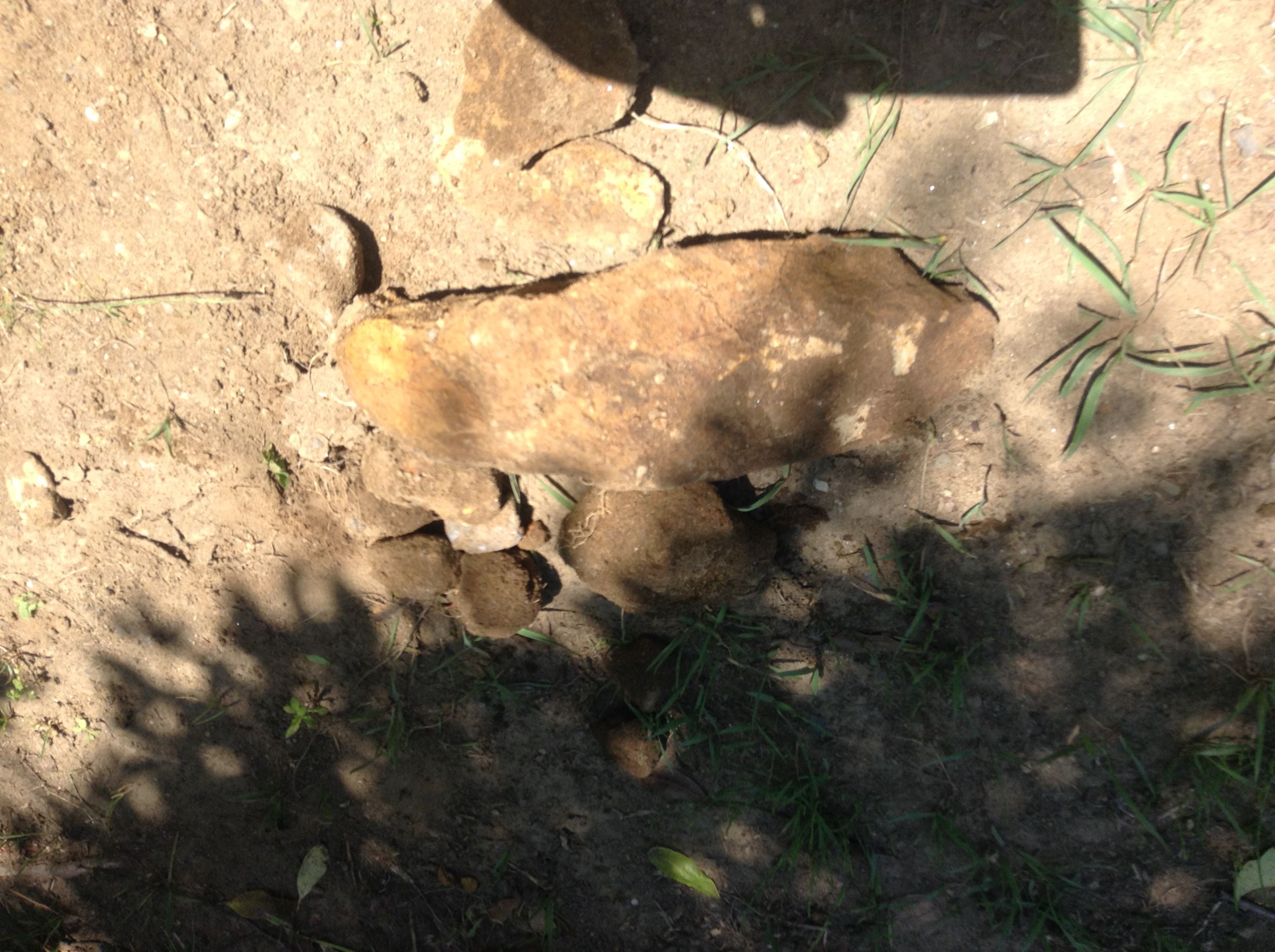 写真 2017-06-06 11 45 58