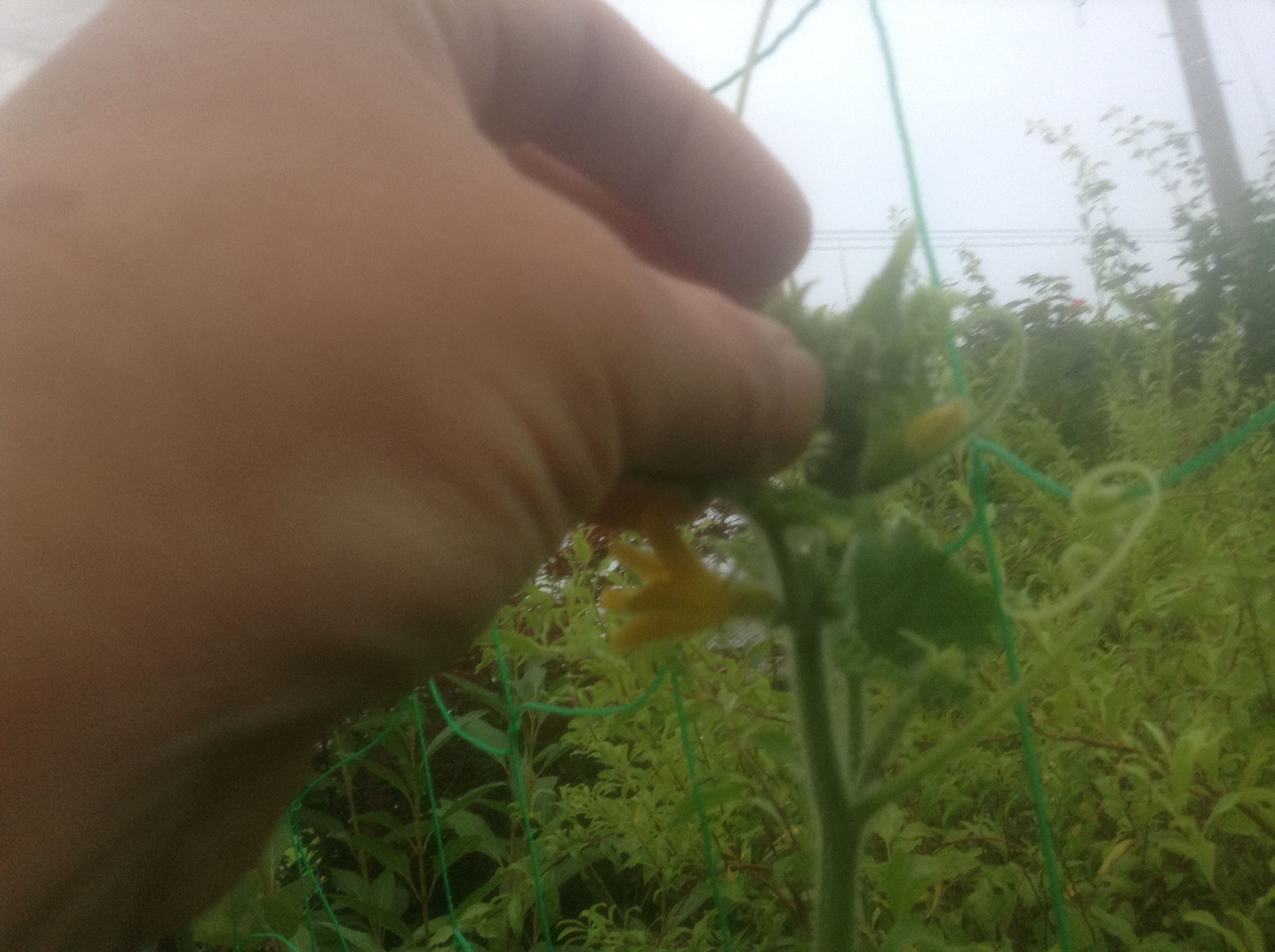 �̿� 2017-07-25 18 42 17