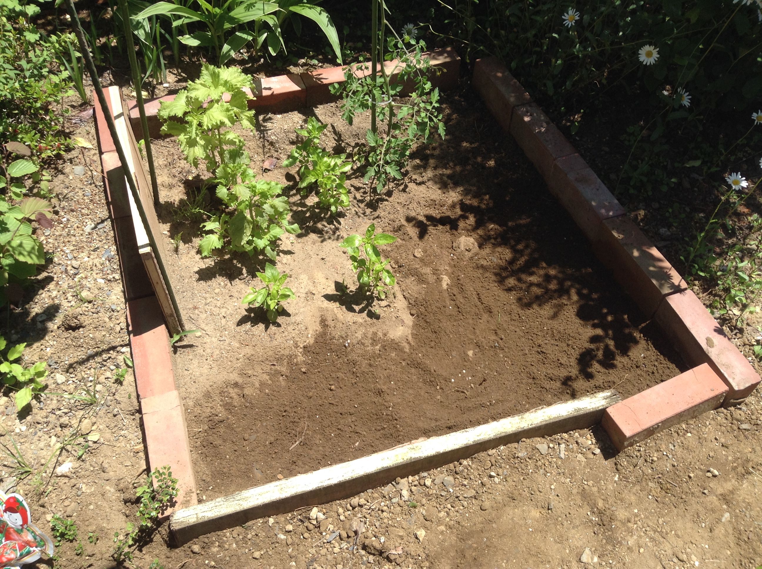 写真 2017-06-06 11 45 17