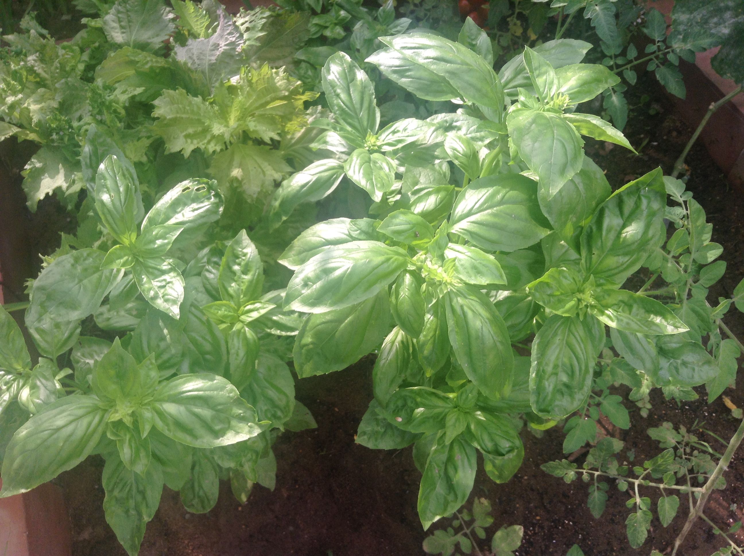 �̿� 2017-07-15 7 51 52