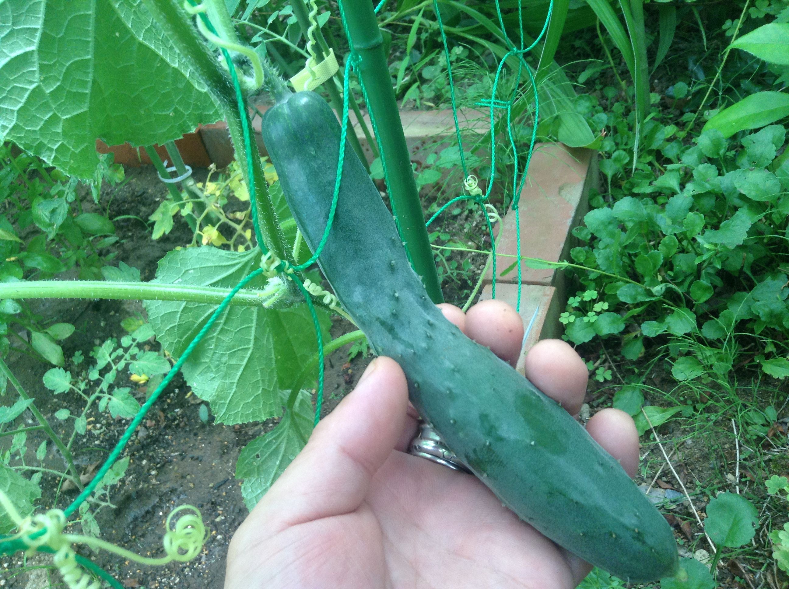 �̿� 2017-07-16 10 09 18