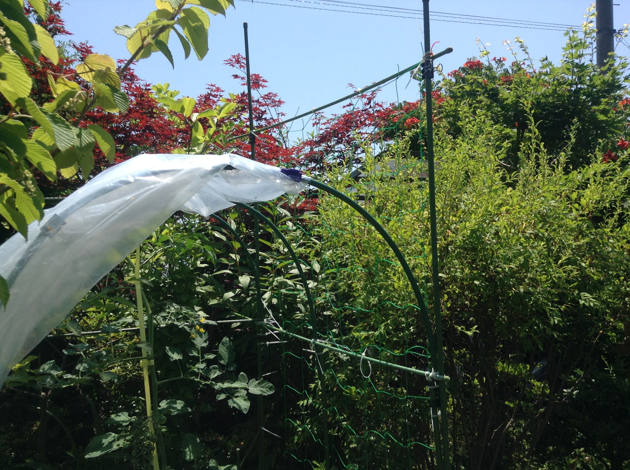 �̿� 2017-07-09 10 49 36