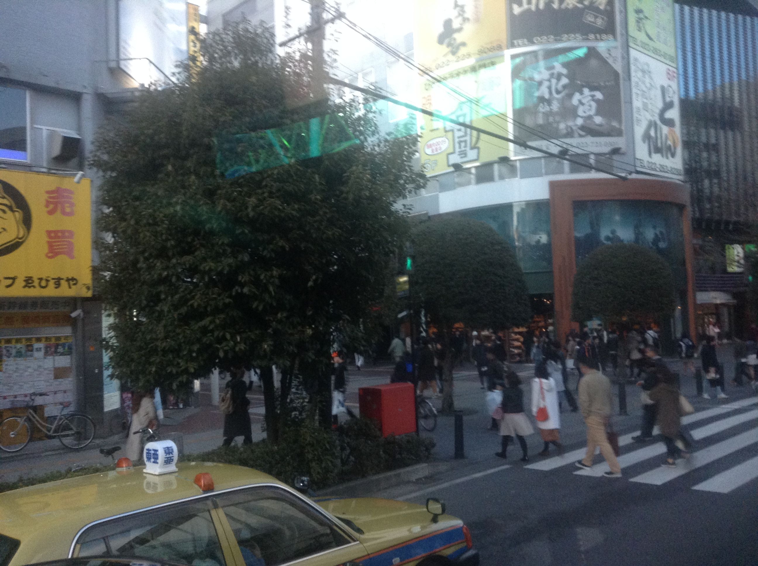 写真 2017-04-02 16 59 53