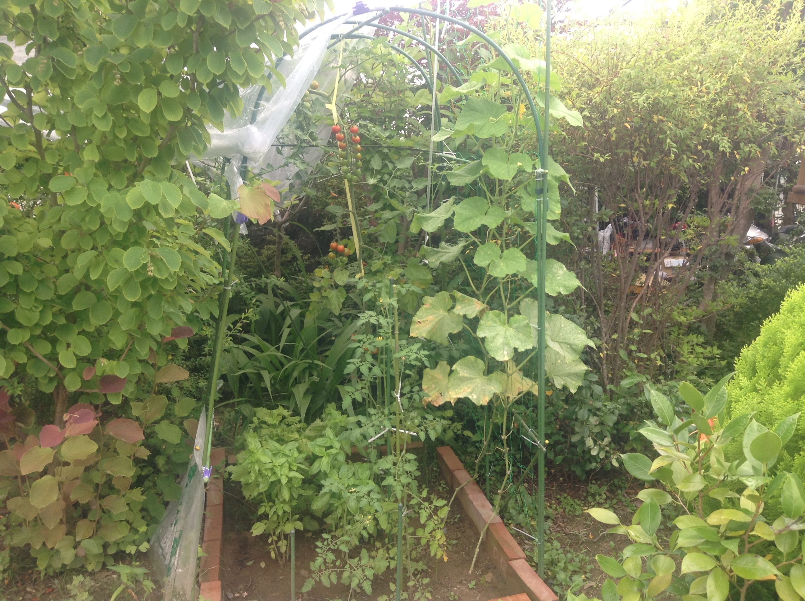 �̿� 2017-08-05 11 42 24