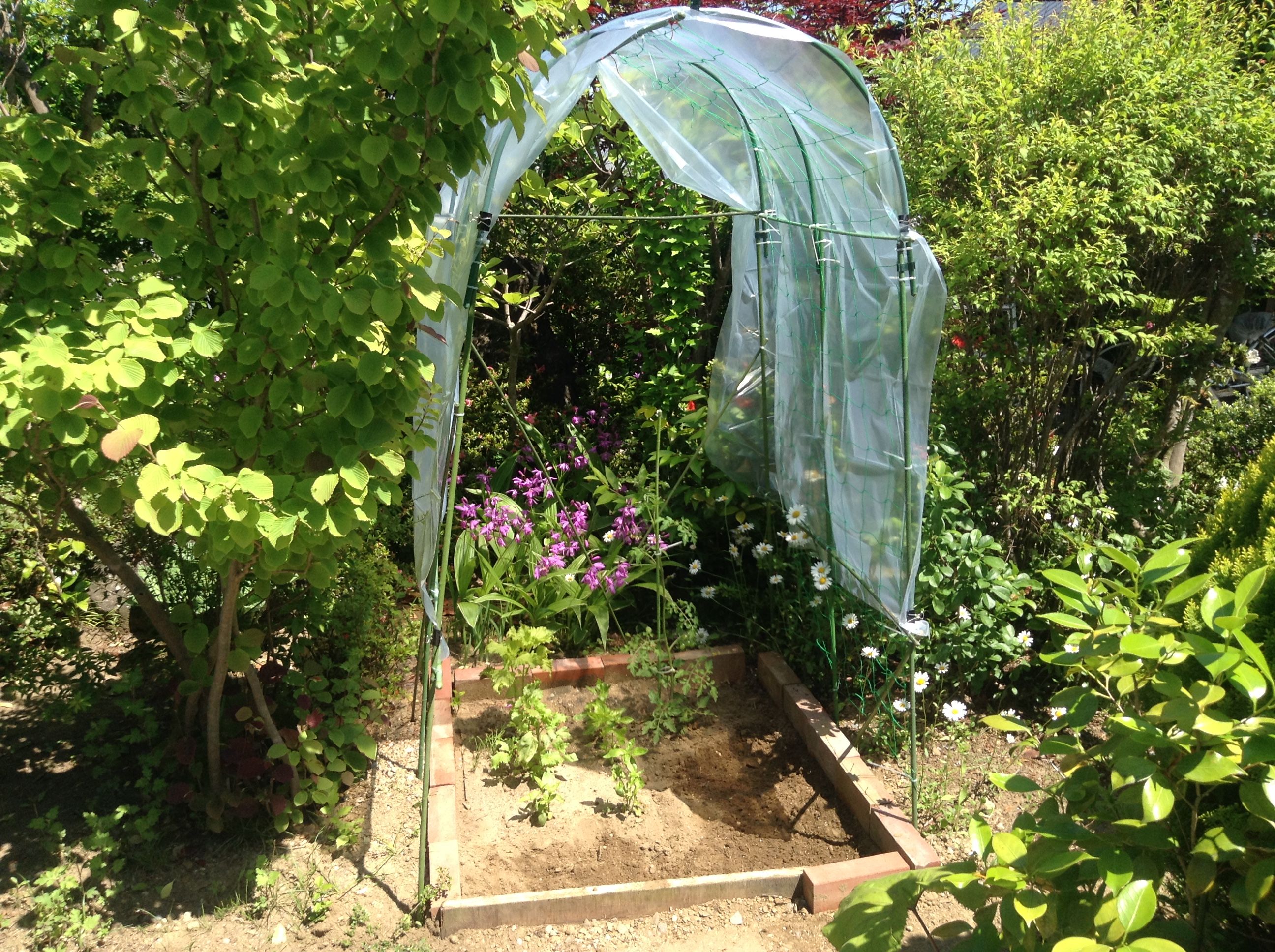 diy たった1時間で家庭菜園をビニールハウス化してみたよ 工藤 信一の なんでも来い diy たった1時間で家庭菜園をビニールハウス化してみたよ 工藤 信一の なんでも来い