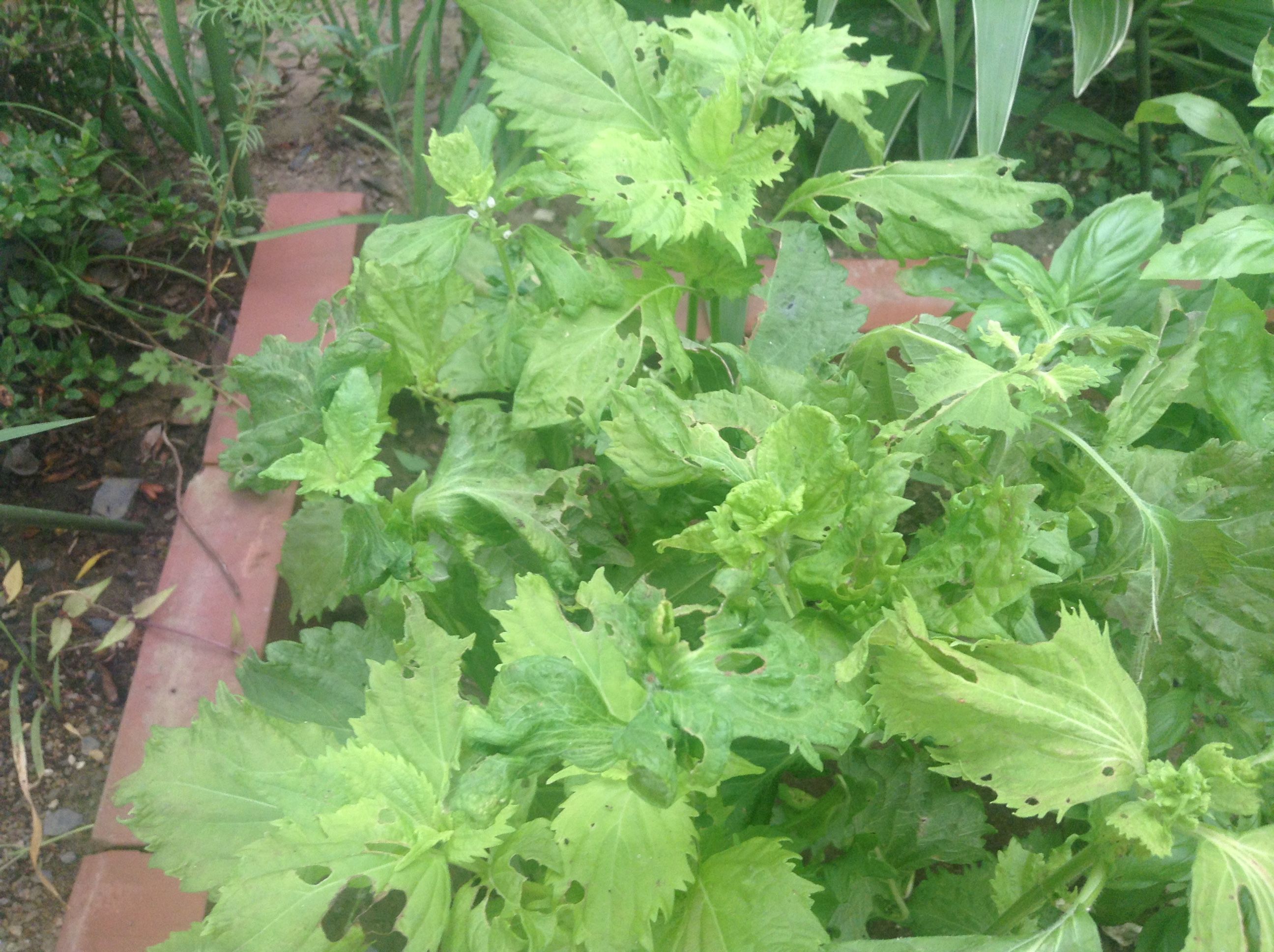 �̿� 2017-08-05 11 43 10