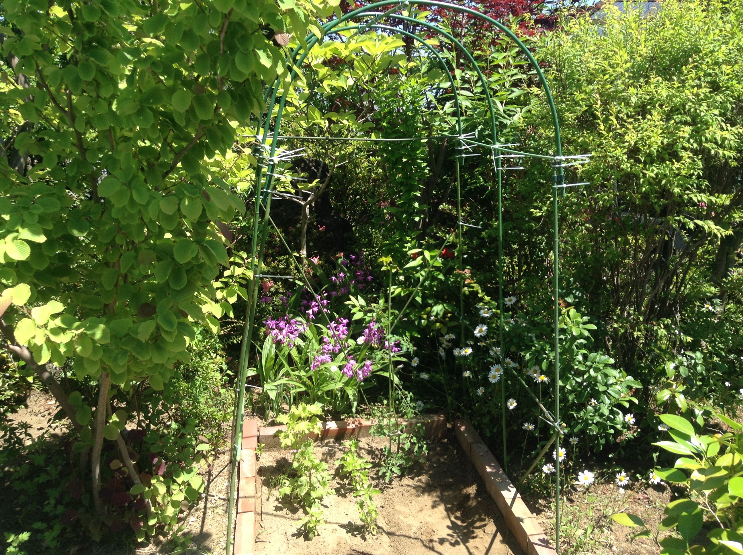 写真 2017-06-06 12 48 52