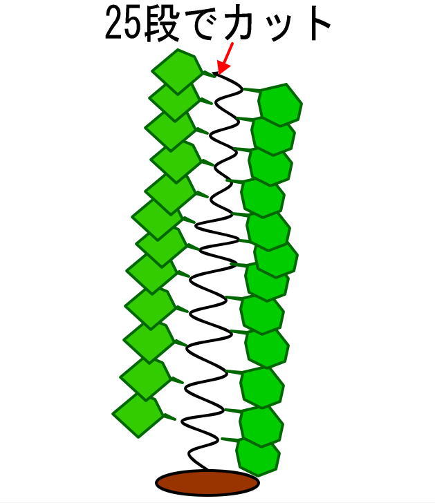 ���奦��25��