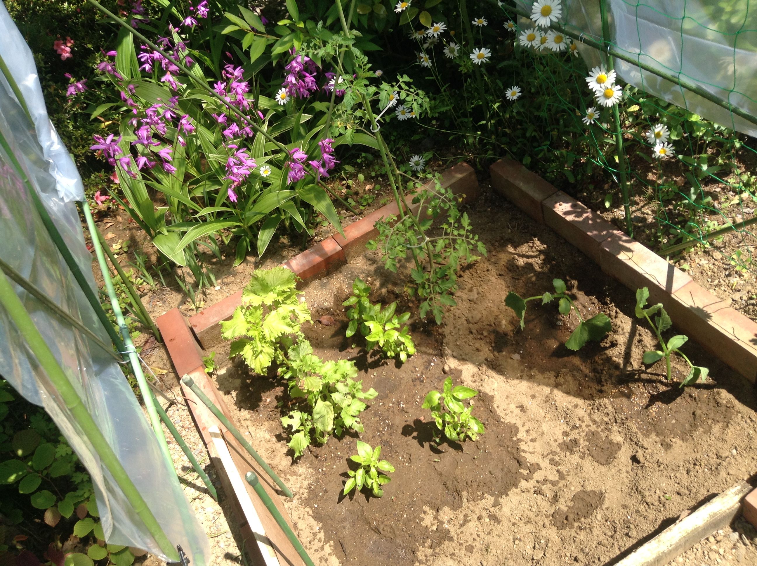 写真 2017-06-06 13 37 27