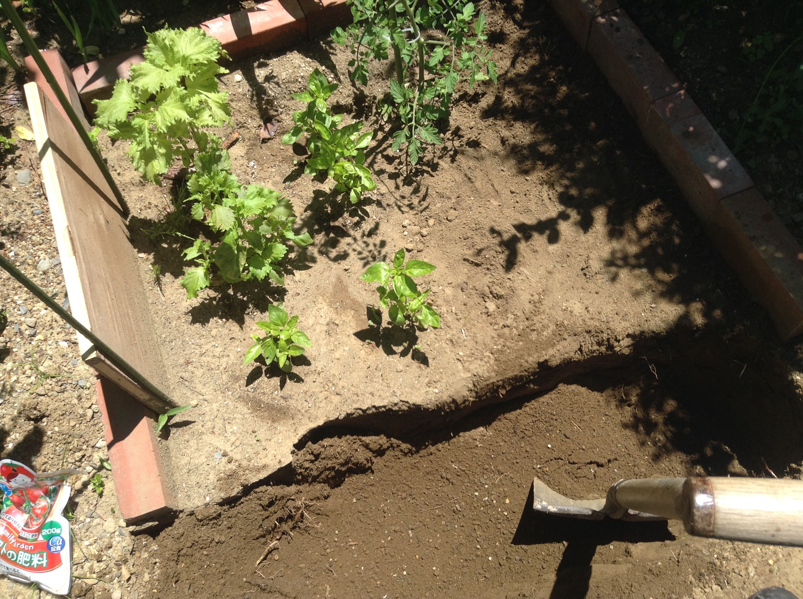 写真 2017-06-06 11 19 17