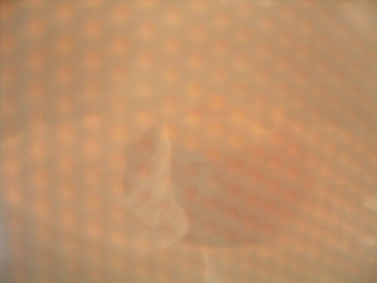 KIF_1780