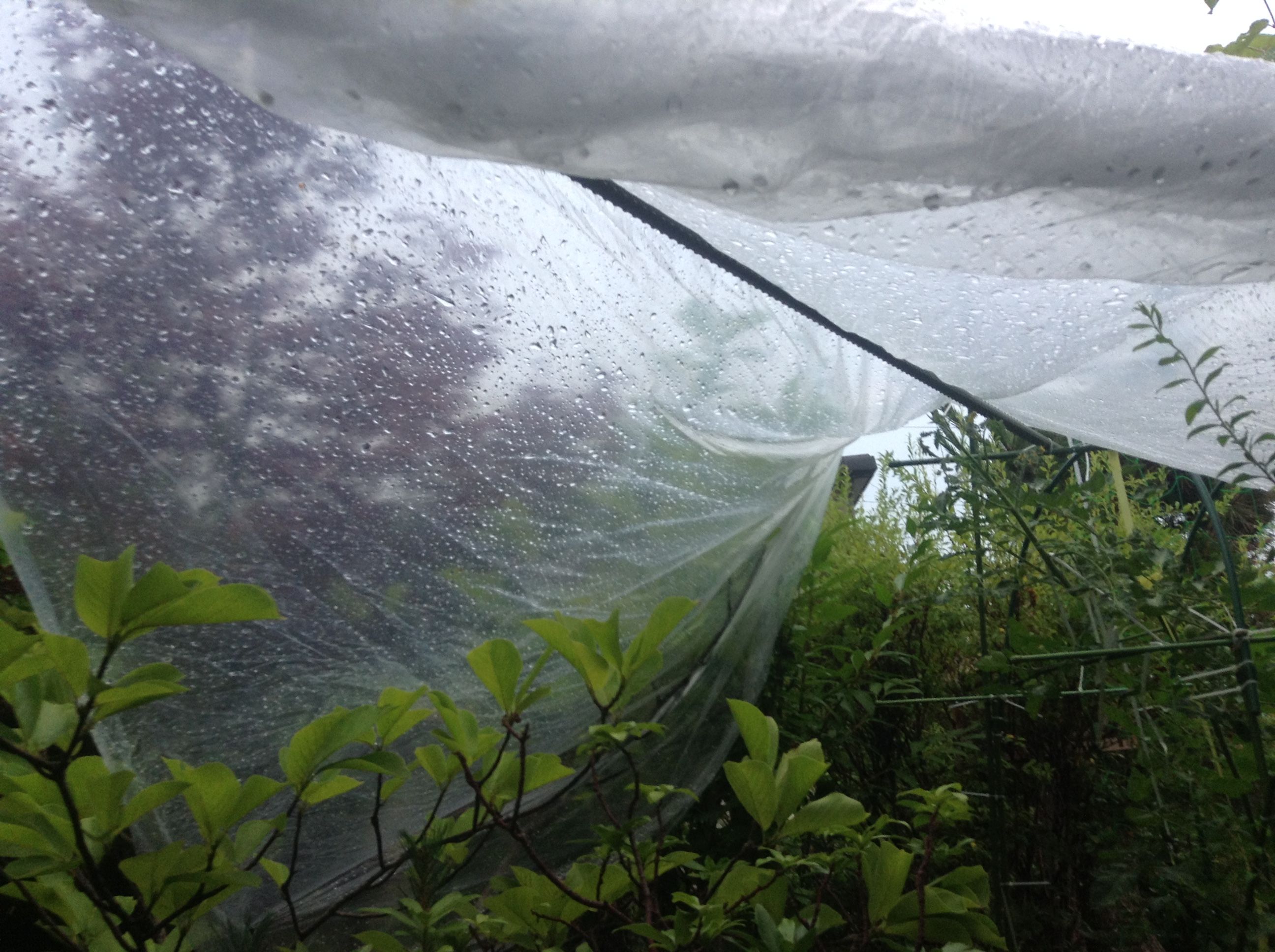 �̿� 2017-07-22 18 32 05