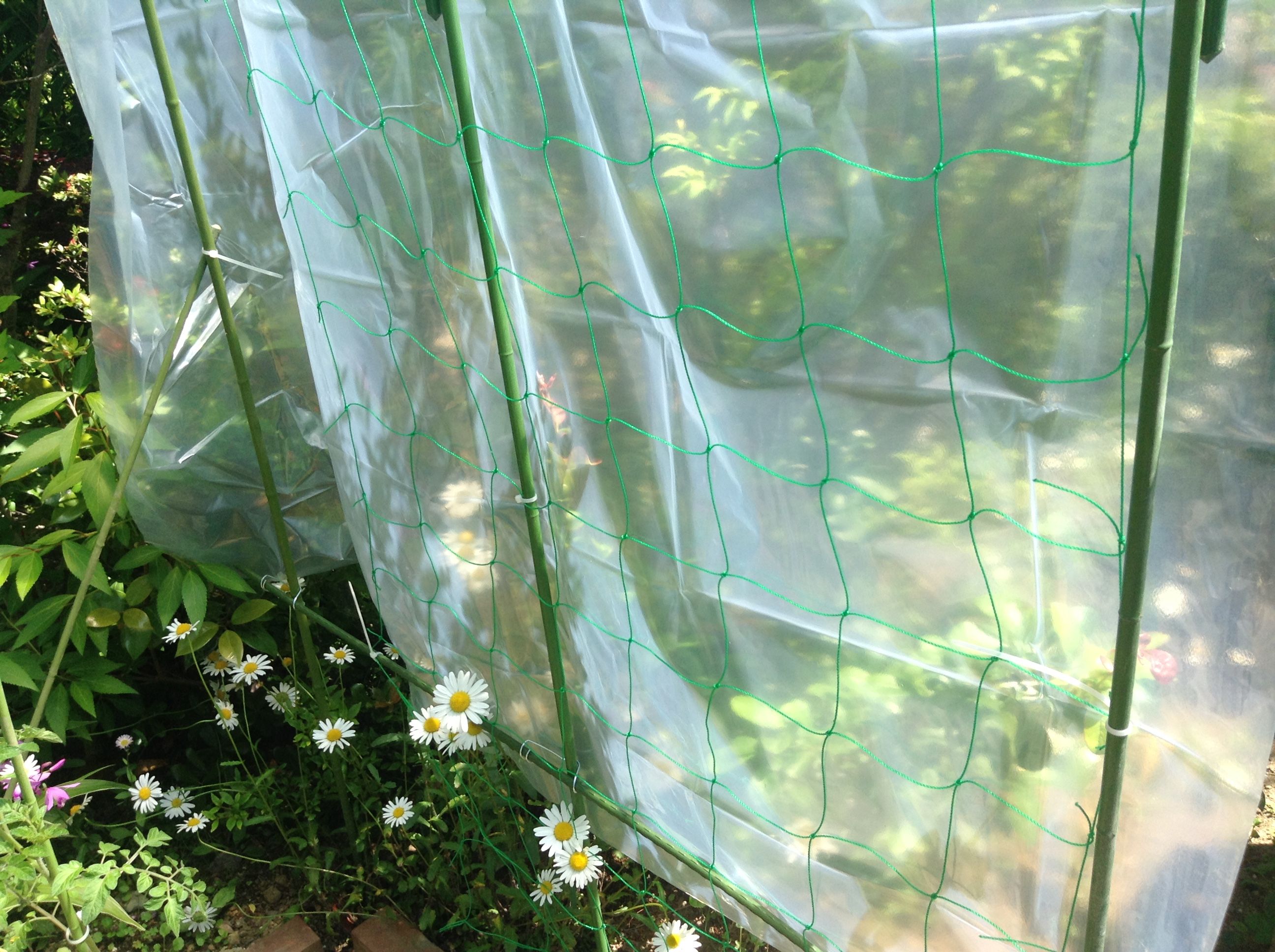 写真 2017-06-06 13 19 46