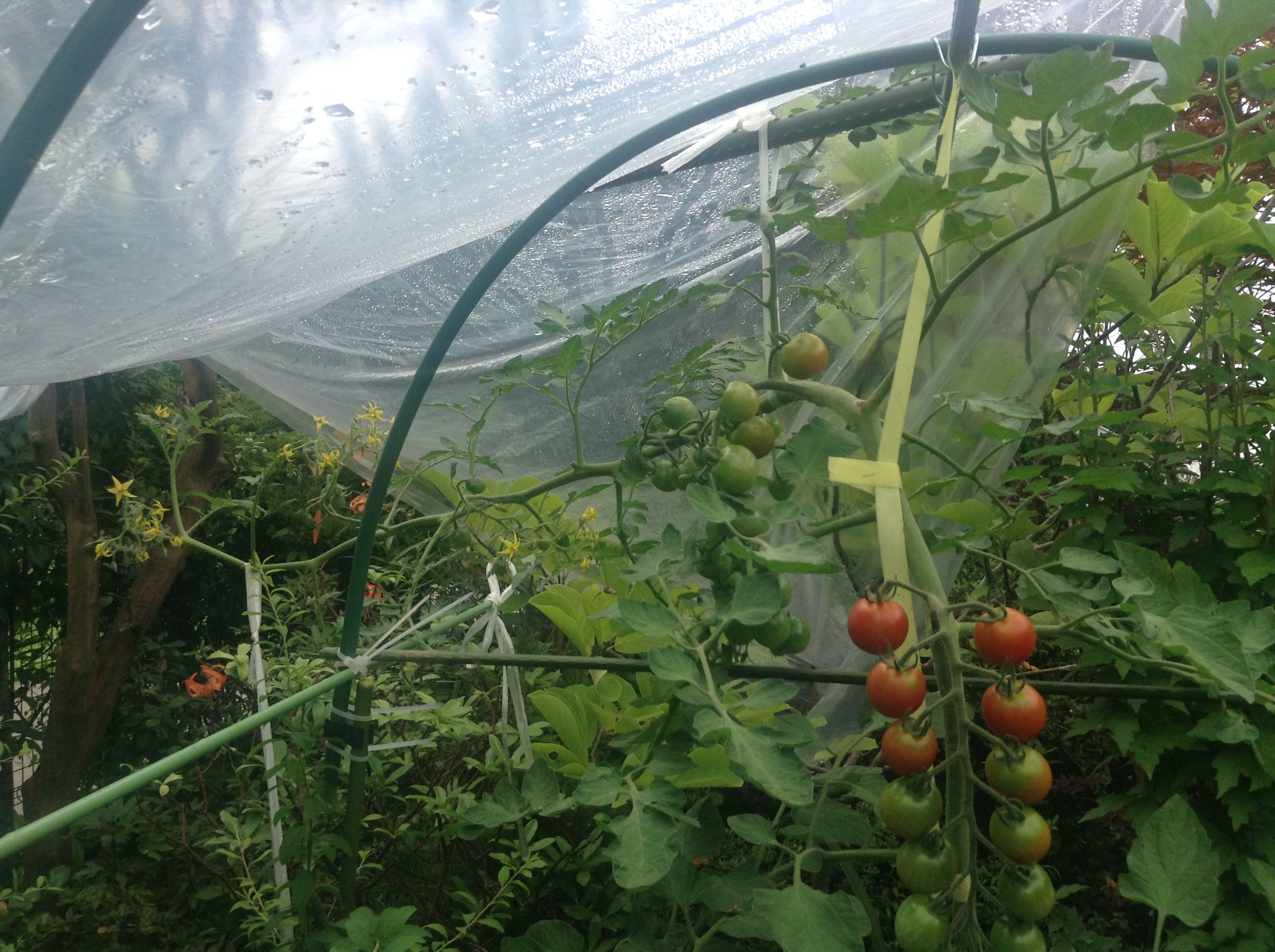 �̿� 2017-08-05 11 42 51