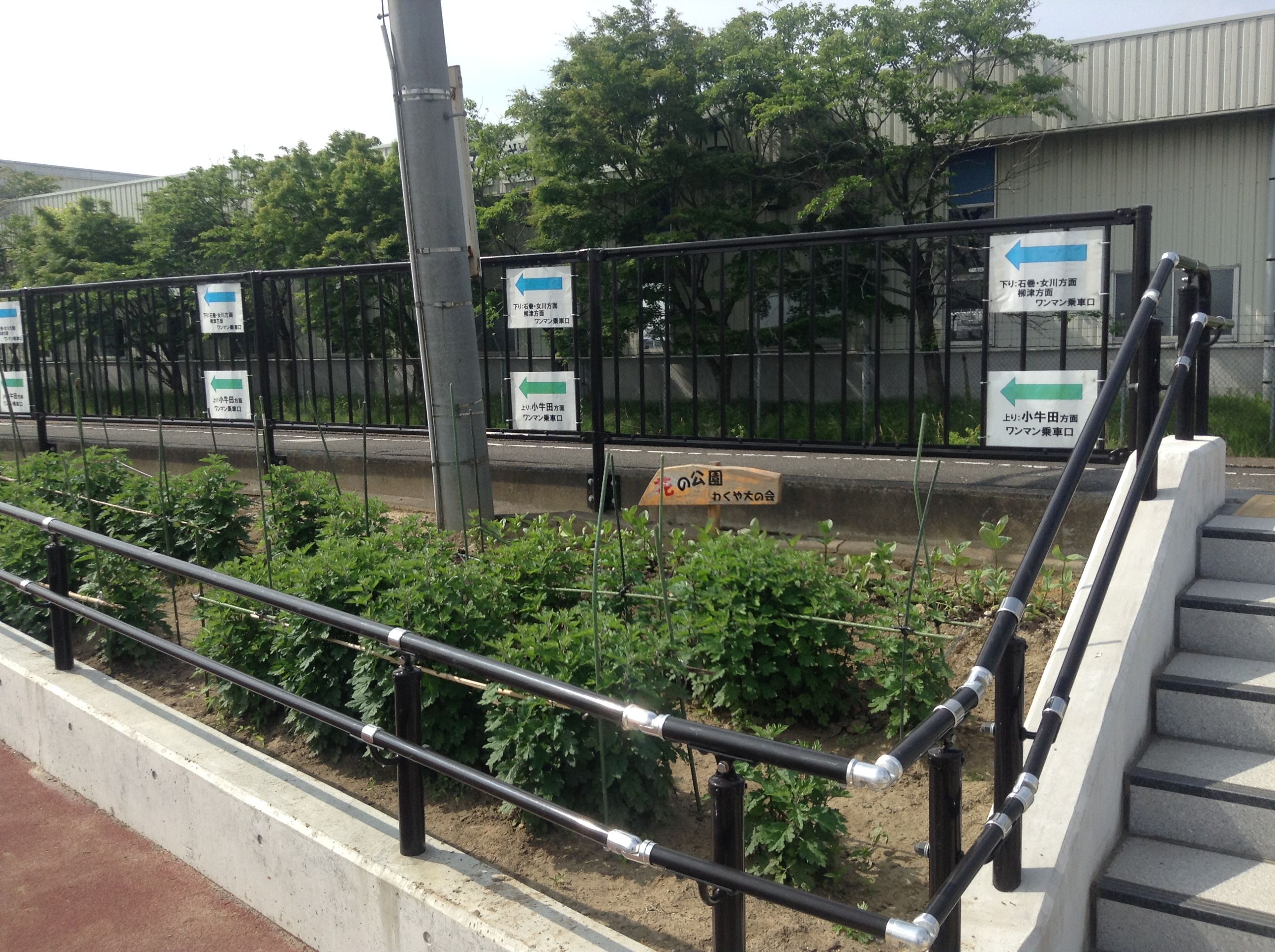 写真 2017-06-07 8 21 11