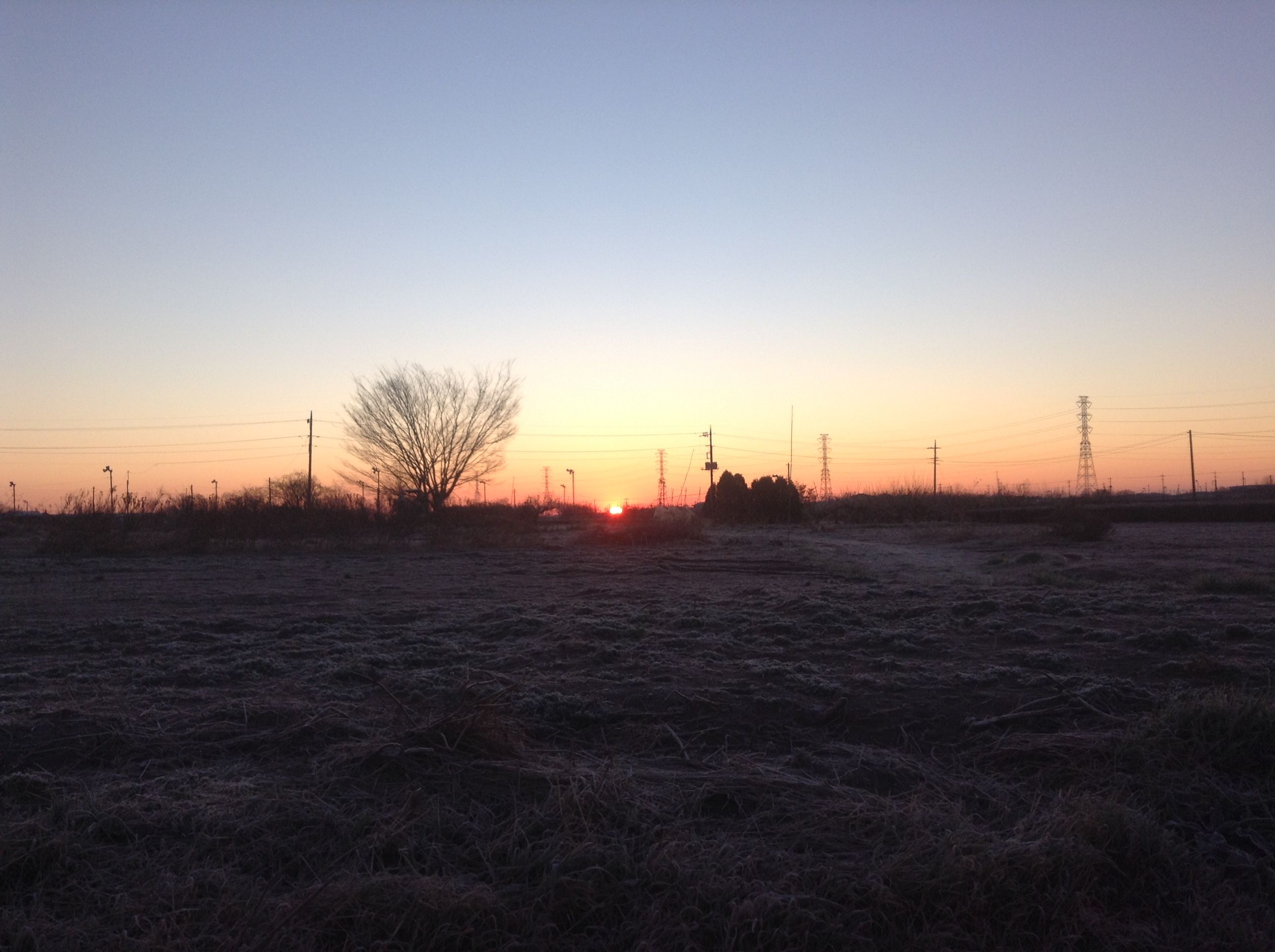 写真 2017-03-08 6 05 23