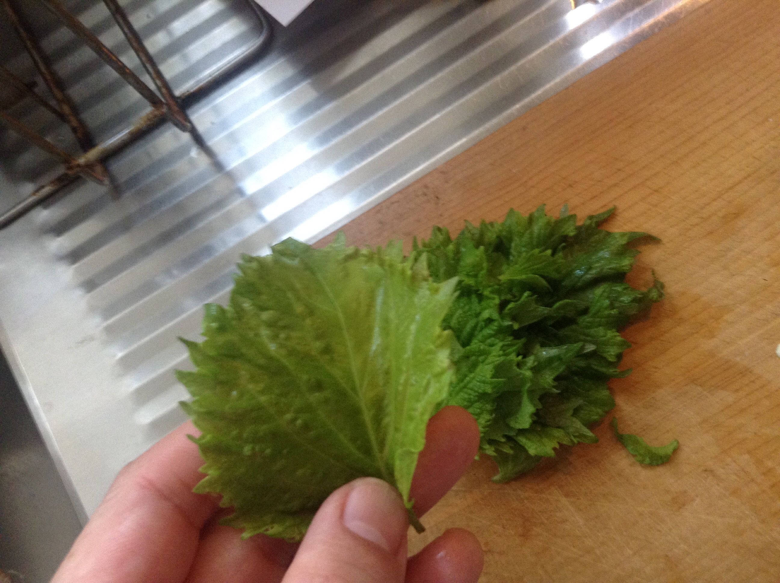 �̿� 2017-06-14 12 24 17