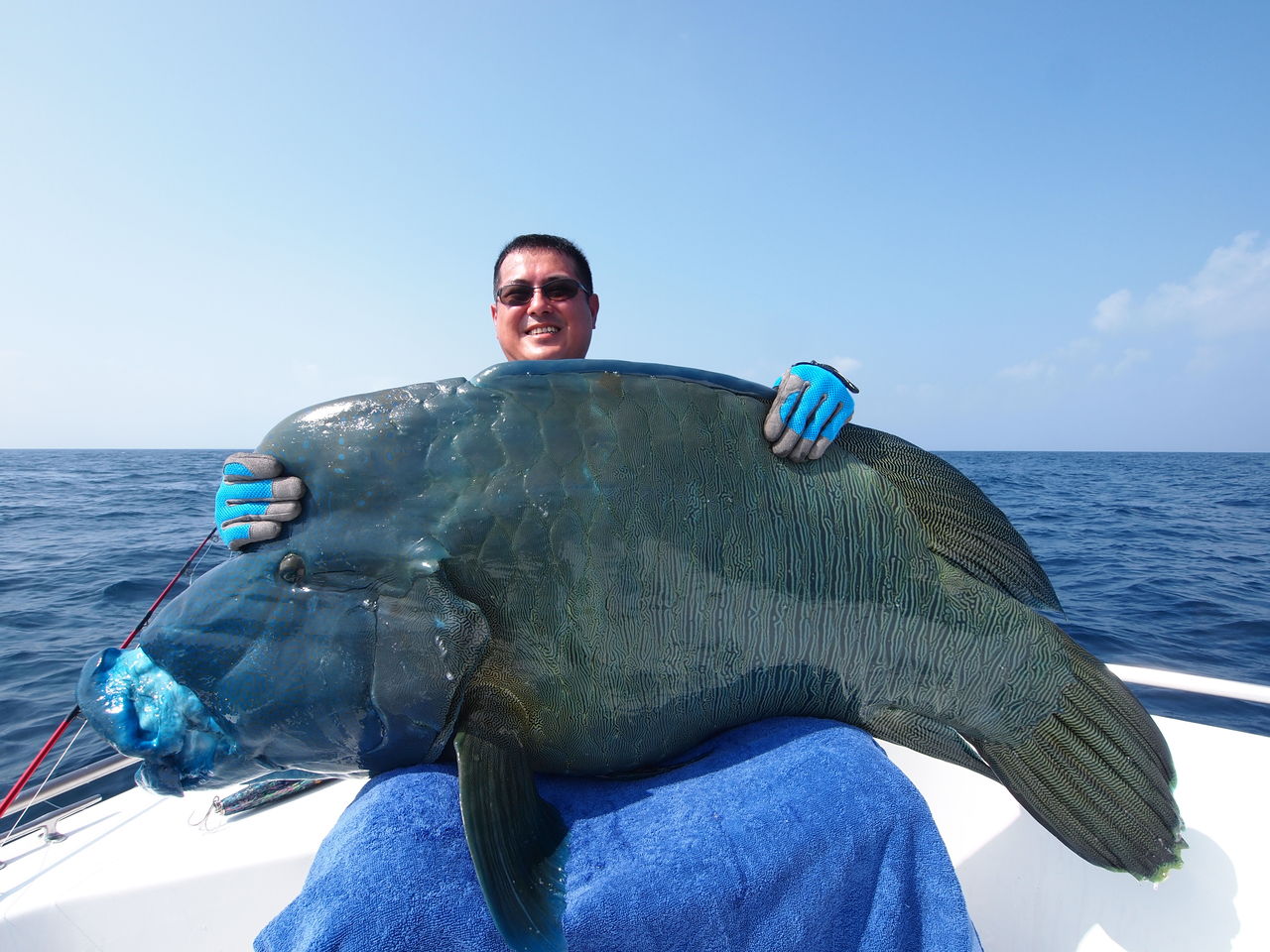 エリア Gt Fishers Maldives