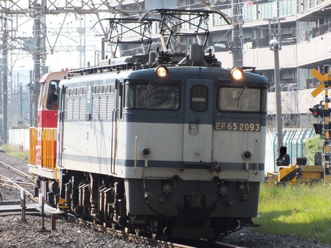 DSCF3516tri