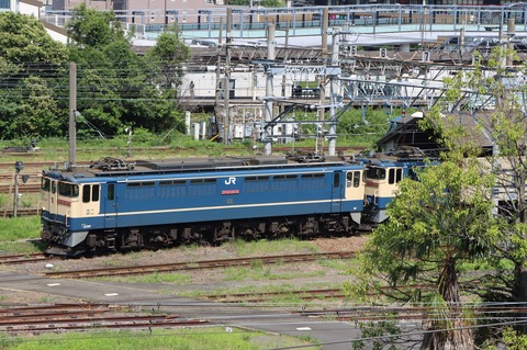 EF65 2074 (専用品) EF65 2074 (専用品) 新鶴見機関区 EF65 2074 の
