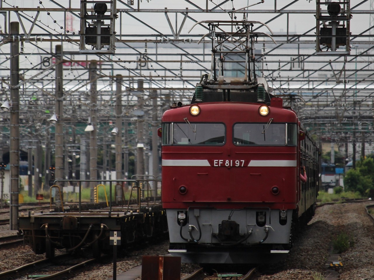 鶴 特別本醸造 超辛口 土佐鶴 1.8L｜土佐鶴オンラインショップ