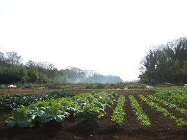 2010年中井ファーム