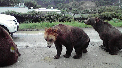 2010071110470002