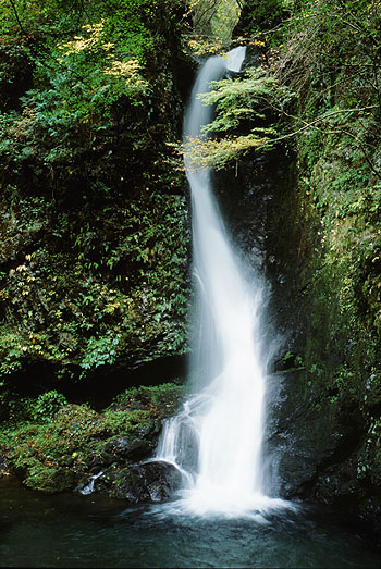 東京の隠れた秘境 大岳キャンプ場 でソロキャンプを満喫 奥多摩は魔女