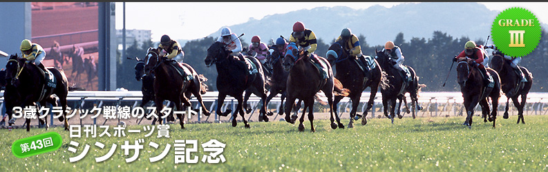 競馬狂のひとりごと〜成功するには狂うことも必要である〜