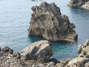 DSCN0153