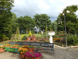 DSCN0351