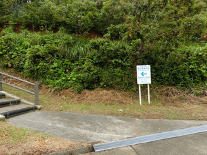 CIMG0817