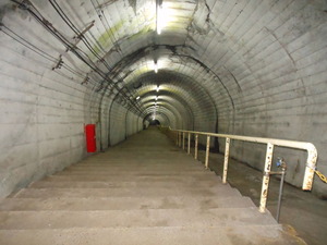 DSCN0163