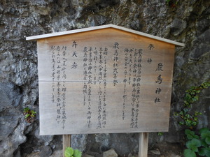 DSCN0156