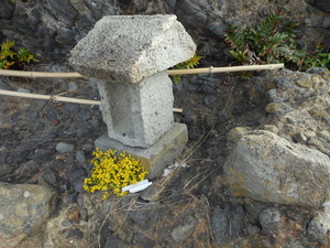 DSCN0154