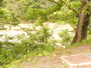 DSCN0161
