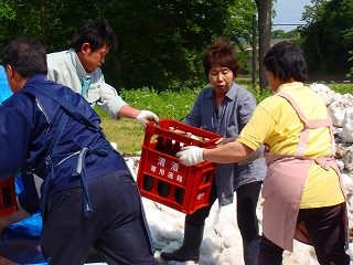 DSC02729