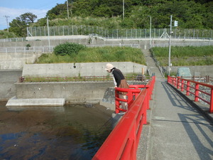 DSCN0146