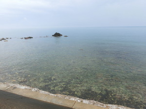 CIMG0797