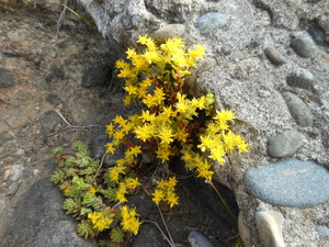 DSCN0155