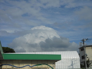 DSCN0345