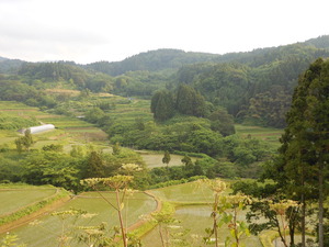 DSCN0174