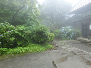 CIMG0790