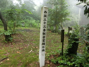 CIMG0793
