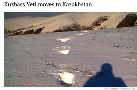 yeti
