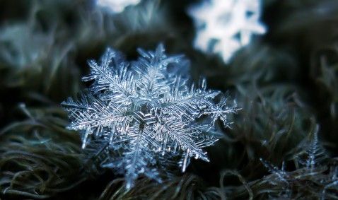 supercoolpics_01_09012009152635