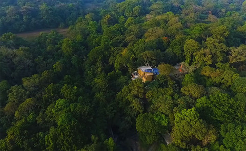 sai-sanctuary-wildlife-india-2