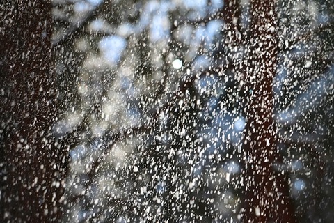 5IMG_2034a